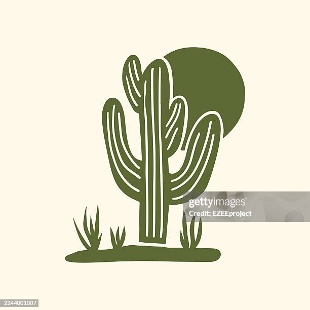 minimalist abstract cactus with sun silhouette. desert landscape botanical icon vector. modern flat design succulent plant graphic. green cactus and rock illustration - saguaro cactus stock illustrations