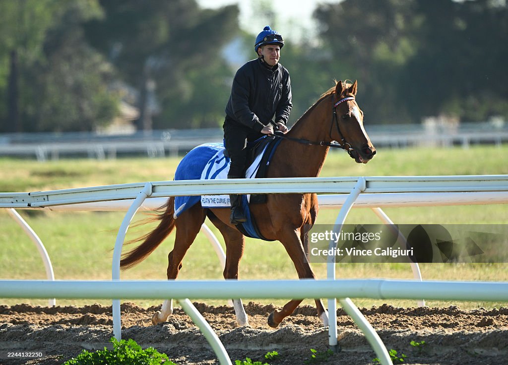 Melbourne Cup Runners Continue Preparations