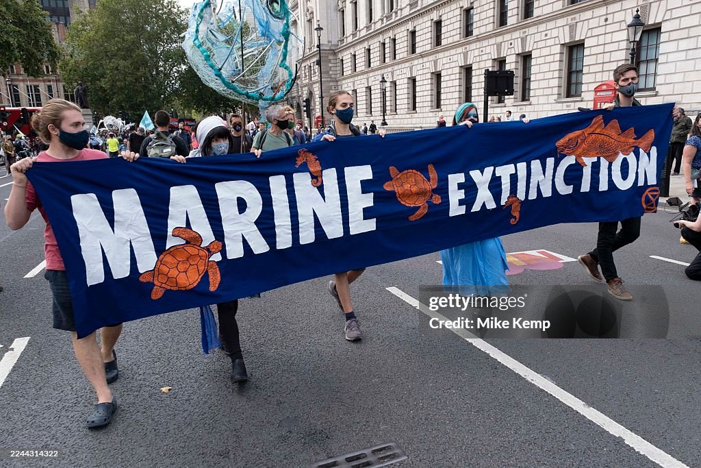 Marine Rebellion Climate Change March In London