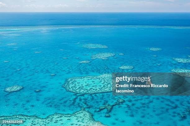 sailboat navigates the great barrier reef, australia, exploring - great barrier reef stock-fotos und bilder