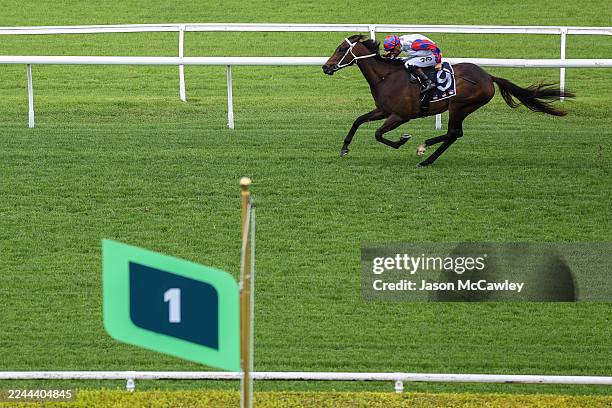 Jean Van Overmeire riding Sonofdec win Race 4 The Four Pillars Midway during Sydney Racing at Royal Randwick Racecourse on November 01, 2025 in...