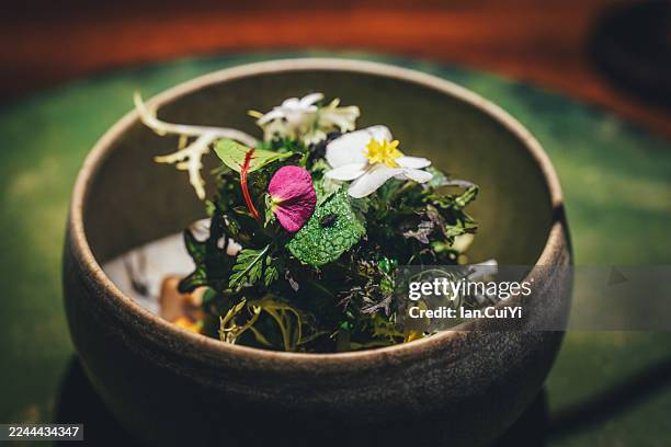artfully arranged edible greens and flowers in ceramic bowl, seoul, south korea - insecto comestible fotografías e imágenes de stock