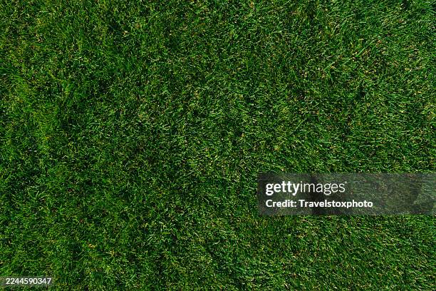 overhead view of green grass lawn texture – seamless natural background and texture symbolizing nature, sustainability, and sports. ideal for eco campaigns, design, fitness, golf, soccer, and outdoor lifestyle marketing visuals. - kunstgras stockfoto's en -beelden