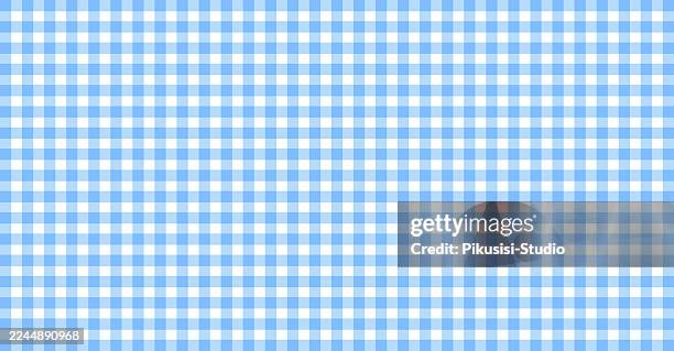 pastel blue gingham picnic pattern background, texture for plaid. fabric design. - picnic blanket stock illustrations
