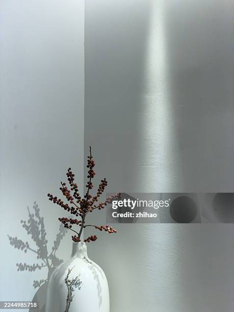 minimalist white vase with red flowers - arte minimalista fotografías e imágenes de stock
