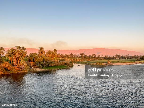 nile riverbank seen from a cruise boat - rio nilo imagens e fotografias de stock
