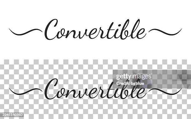 convertible - calligraphy text with swashes on blank background - adaptable stock illustrations