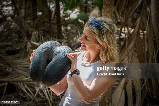 happy tourist holding coco de mer at fond ferdinand nature reserve, near anse marie-louise, praslin, seychelles - ernstig bedreigde soorten stockfoto's en -beelden