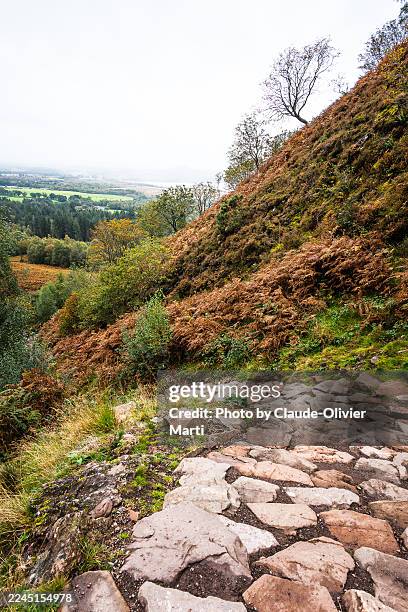 conic hill, west highland way - balmaha stock pictures, royalty-free photos & images