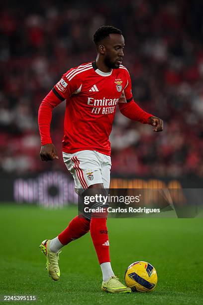 Dodi Lukebakio of SL Benfica during the Primeira Liga match between SL Benfica and Casa Pia AC at Estadio da Luz on November 9, 2025 in Lisbon,...