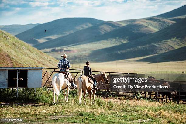 ranchero e hijo a caballo guían al ganado a través de la puerta de un corral - rancho fotografías e imágenes de stock