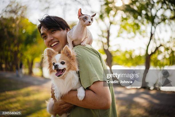 un homme souriant avec ses animaux dans le parc - félidés photos et images de collection