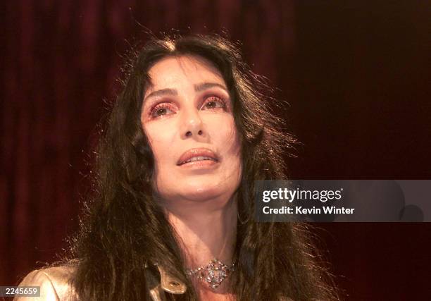 Cher received a 'Lucy' for HBO's If These Walls Could Talk at Women in Film's 7th Annual Lucy Awards for Innovation in Television at the Beverly...