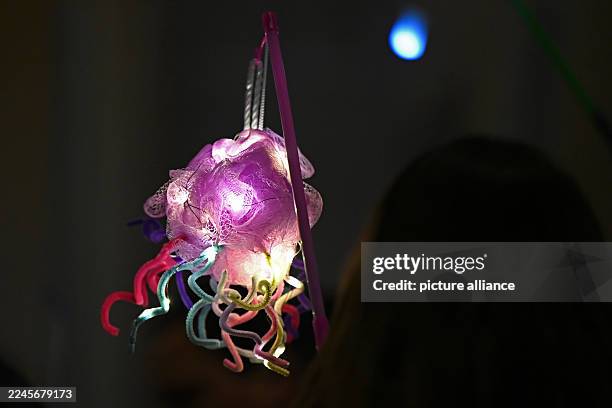 November 2025, Saxony-Anhalt, Halle: A woman holds a lantern in the air during the procession. Accompanied by trumpets, the St. Martin's procession...