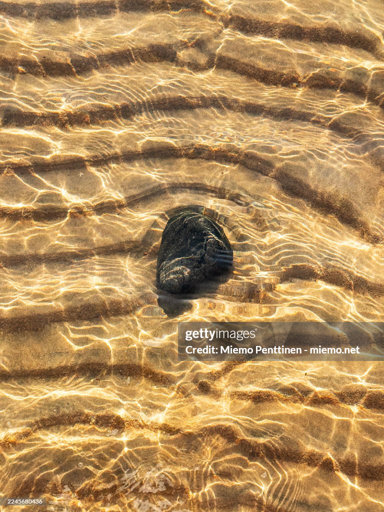 Single stone in shallow water with sunlight reflections