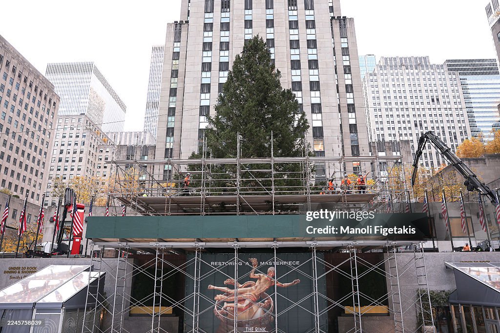 2025 Rockefeller Center Christmas Tree Arrives On Center Plaza