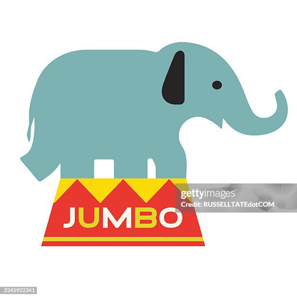 performing side show circus elephant standing on a drum podium - elephant vector stock illustrations