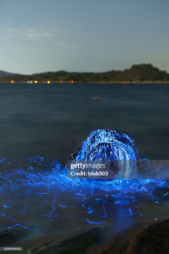 Bioluminescent vargula hilgendorfii glow along the coast