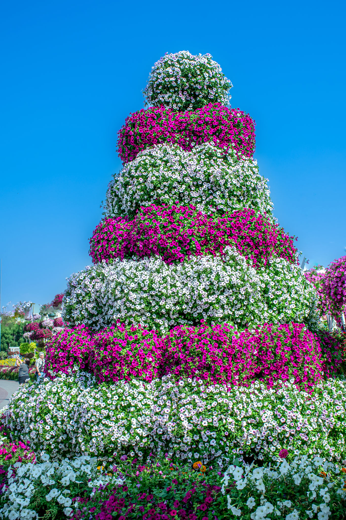 miracle garden flowers