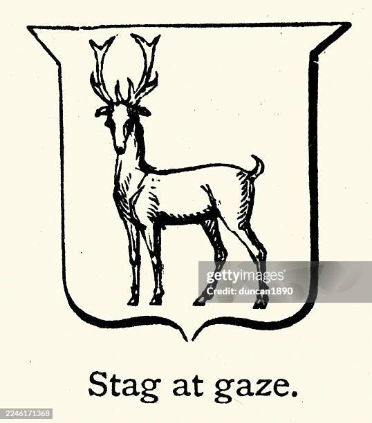 history, heraldry, shield, stag at gaze, vintage illustration, 19th century, victorian - stag stock illustrations