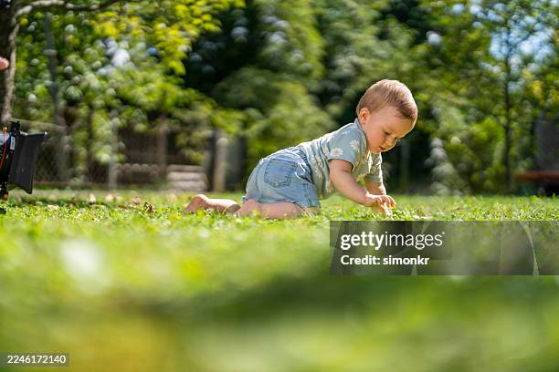 young caucasian baby girl exploring grass in sunlit backyard garden - eenjarig plantenkenmerk stockfoto's en -beelden
