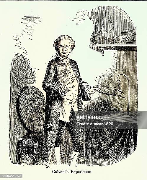frog galvanoscope, luigi galvani 's experiment involved using dead frog legs to demonstrate that muscle contractions could be caused by an electrical current 18th century - frogs legs stock illustrations