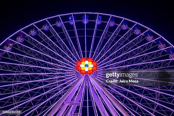 Illuminated Ferris Wheel Glowing With Purple Lights Against Night Sky