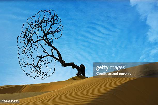 chronic kidney disease (ckd) - tubule stock pictures, royalty-free photos & images