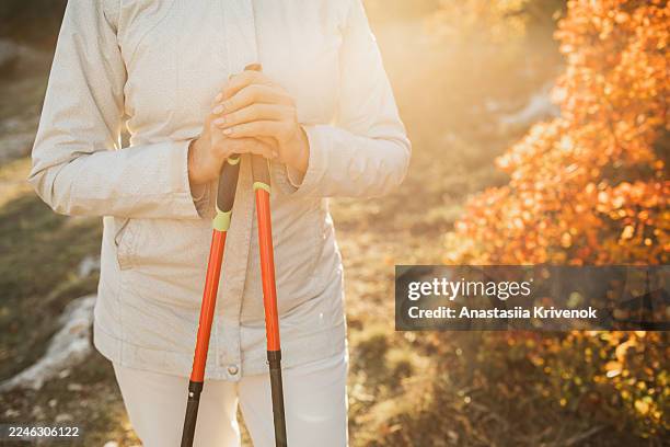 autumn hiking with nordic walking poles in warm sunset light on a trail - hiking pole stock pictures, royalty-free photos & images