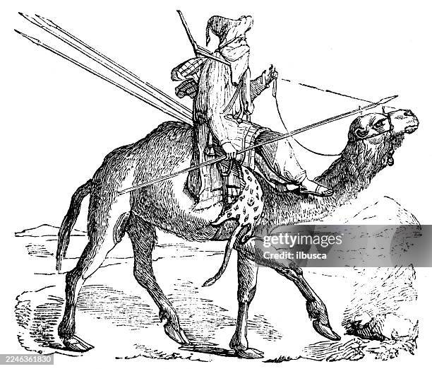 camel mounted - camel stock illustrations