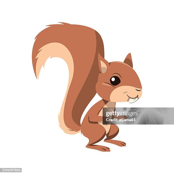 cartoon happy squirrel on white background. - rodent stock illustrations