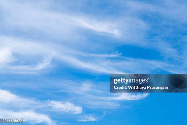 blue sky presenting high cirrus clouds - wispy clouds stock pictures, royalty-free photos & images