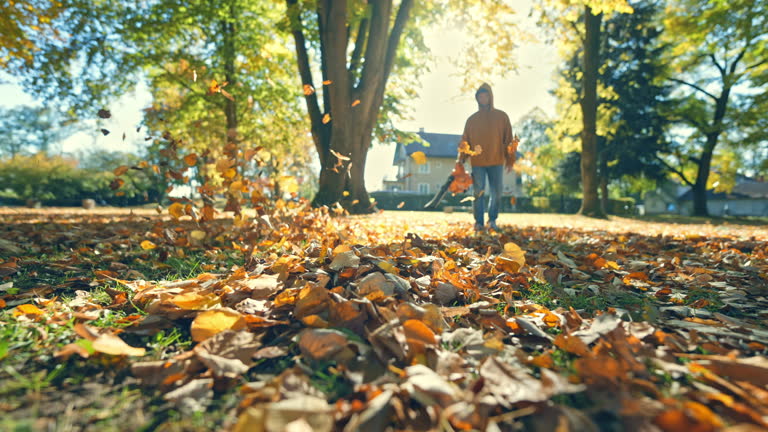 https://media.gettyimages.com/id/2246462803/video/young-man-using-leaf-blower-to-clear-autumn-leaves-from-ground-in-park-before-starting-dance.jpg?b=1&s=640x640&k=20&c=1CY8_y5s2xYV_yCvEXe7HoG8GPZ7cpHGlPvRz89JN18=