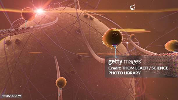 intracellular transport, illustration - tubule stock illustrations