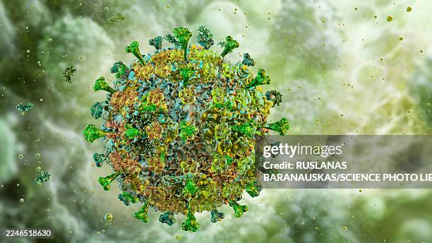lassa virus, illustration - lassa virus stock illustrations