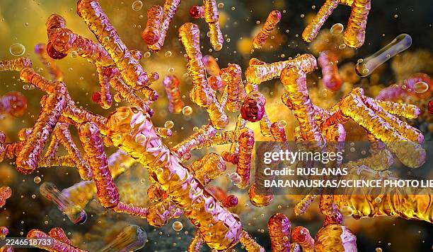 stockillustraties, clipart, cartoons en iconen met corynebacterium bacteria, illustration - difterie