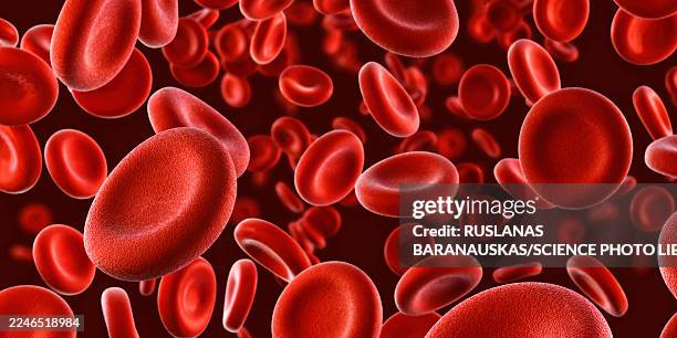 red blood cells, illustration - blood cell stock illustrations