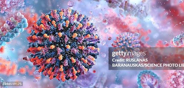 stockillustraties, clipart, cartoons en iconen met human metapneumovirus, illustration - humaan metapneumovirus