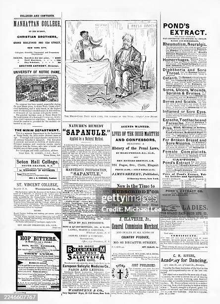 classified advertisements from 1879 - escrita ocidental imagens e fotografias de stock