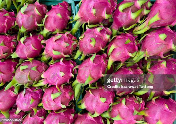fresh red-pink dragon fruit or pitaya background, top view, close up - dragon fruit stock pictures, royalty-free photos & images