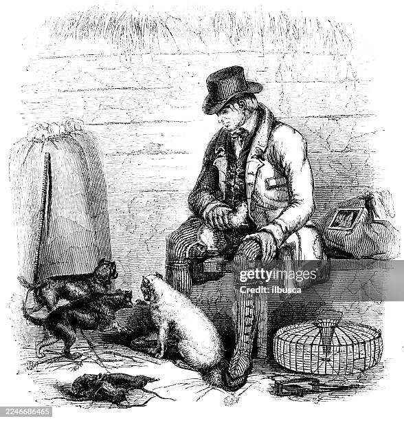 rat catcher and terrier - leptospirosis dog stock illustrations