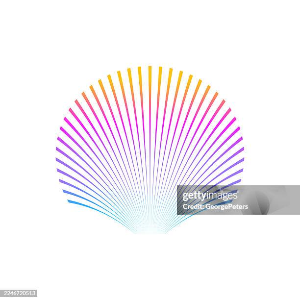 half tone striped scallop seashell - scallop pattern stock illustrations