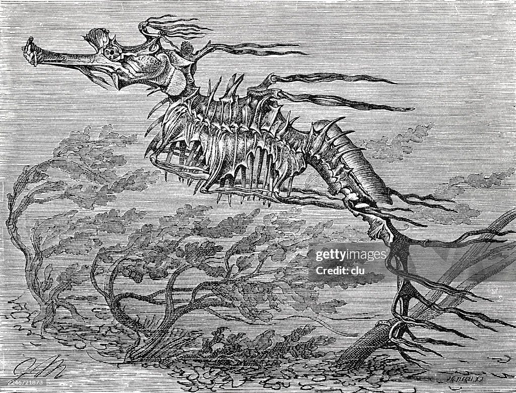 A Wind-Torn Tree Becoming a Flying Monster — a storm where nature turns mythical