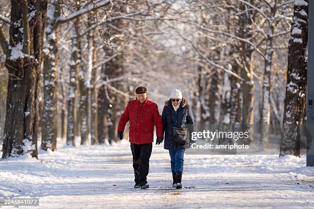 seniorenpaar spaziert im winter durch den verschneiten stadtpark - glatteis stock-fotos und bilder