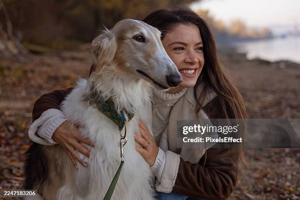 205 Borzoi Lady Stock Photos, High-Res Pictures, and Images