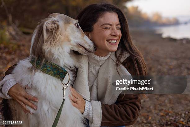 242 Borzoi Lady Stock Photos, High-Res Pictures, and Images