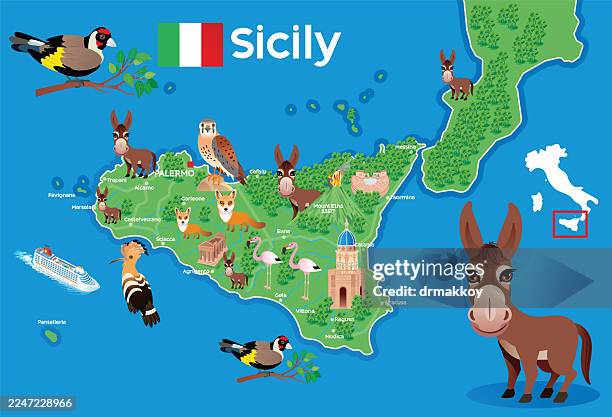 sicily island wildlife map - taormina italy stock illustrations