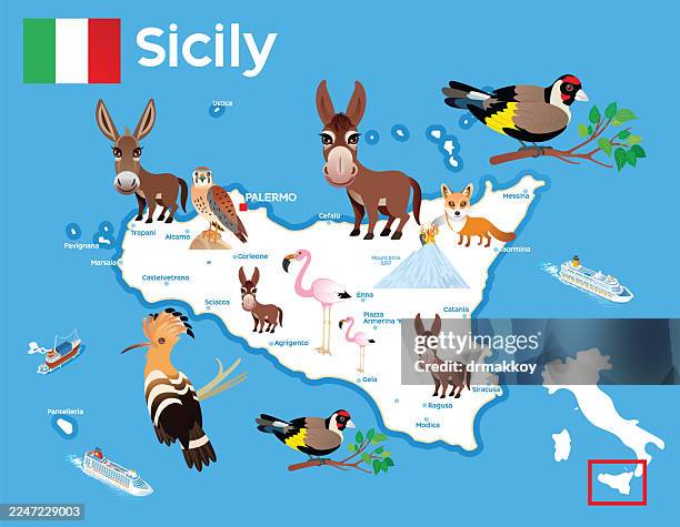 sicily island wildlife map - taormina italy stock illustrations