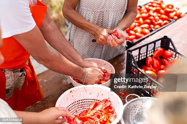 family making tomato puree together, slicing and squeezing tomatoes - vergiet stockfoto's en -beelden