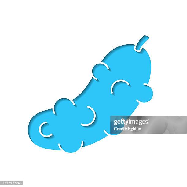 pickle. icon cut out on white paper with blue background - pickle isolated stock illustrations